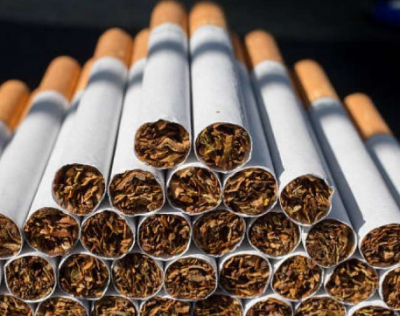 埃及与WHO合作打击非法烟草贸易