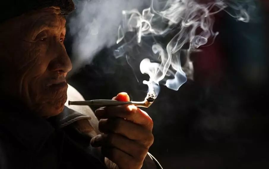 自种自裹自抽的叶子烟，被称为中国民间“雪茄”