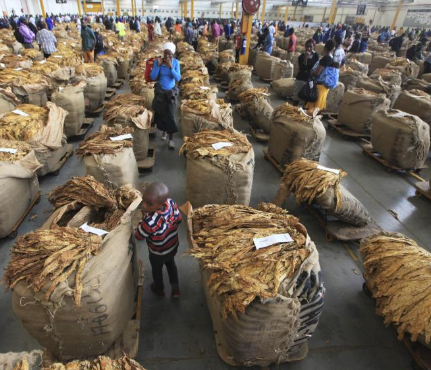 烟草公司意欲扩张非洲市场