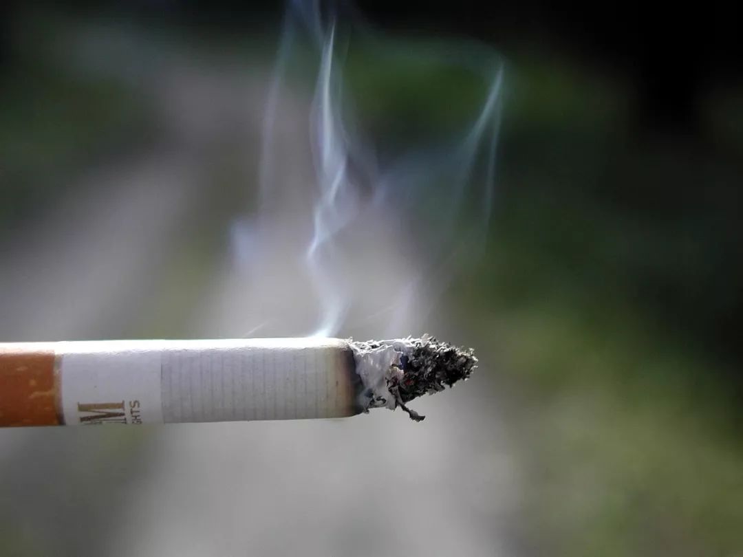 烟民注意：这些国家禁止携带烟草入境！