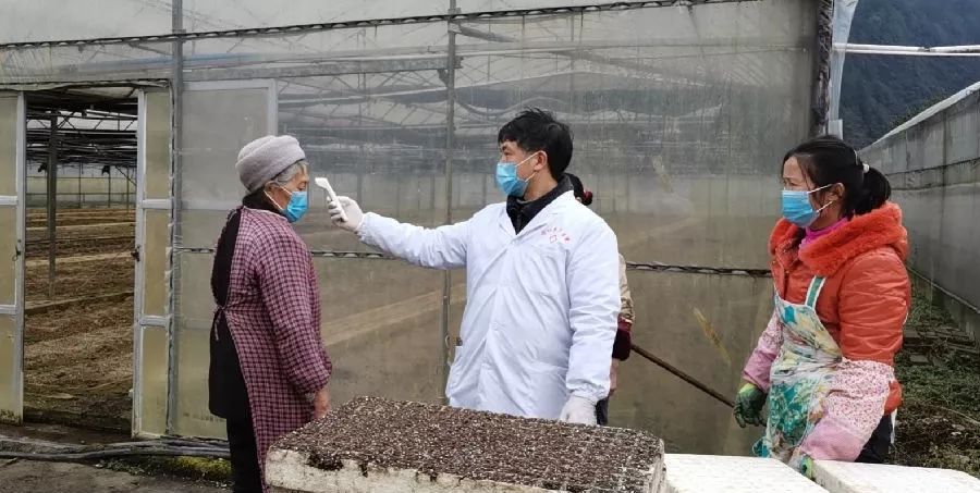 战疫不误农：贵州烟草商业积极组织推进烟叶生产各项工作