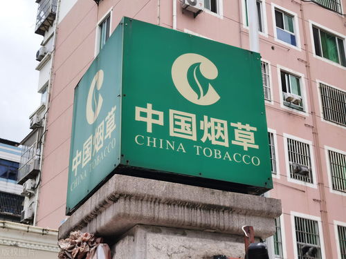 中国烟草网上零售超市官网app